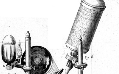 Cellbiologi