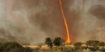 Eld-tornado