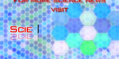 HIV-immuna celler