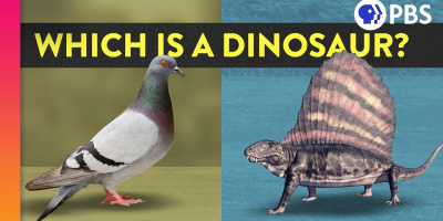 Vad är en dinosaurie och vad är inte en dinosaurie?