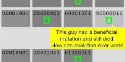 Modellförsök – evolution hos björkmätare