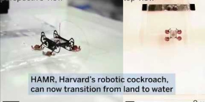 Harvards pyttelilla robot kan simma och gå under vatten – och på land