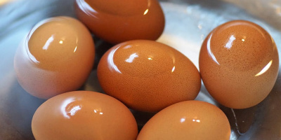 Vid vilken salthalt flyter ett ägg?