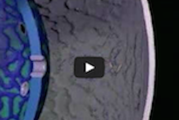 HIV-virusets biologi