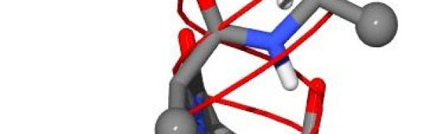 Prov 2005-05-02: Proteinernas syntes och funktion