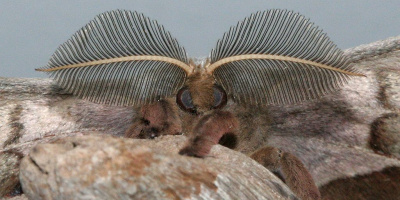 Kom­mu­ni­ka­tion