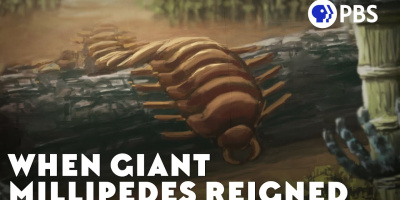 När gigantiska tusenfotingar härskade på jorden