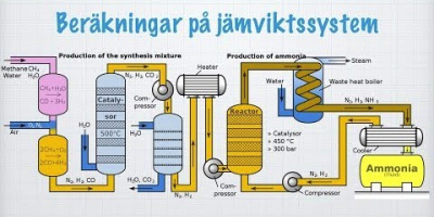 Beräkningar på jämviktssystem