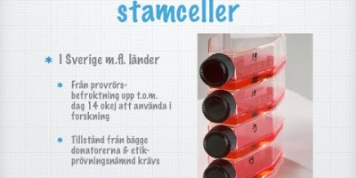Stamceller och andra cellinjer