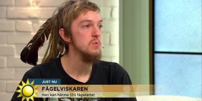 Han kan härma 120 fågelarter