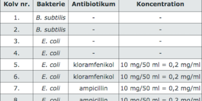 Antibiotikas inverkan på tillväxthastigheten