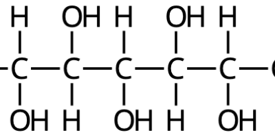 Prov 2019-12-04 i Biomolekyler + lite biokemi