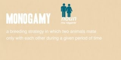 Vad är monogami?