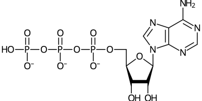 Prov 2013-05-31 i Biokemi (katabolism)