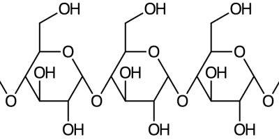 Prov 2018-03-07 i Biomolekyler och Biokemi