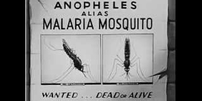 Malariamyggan och de Sju Små Dvärgarna