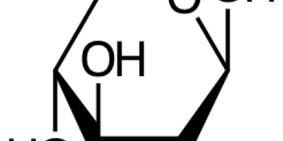 Läxförhör 2007-05-04 i Biokemi (biomolekyer)