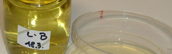LB och LA (Luriabuljong och -agar)