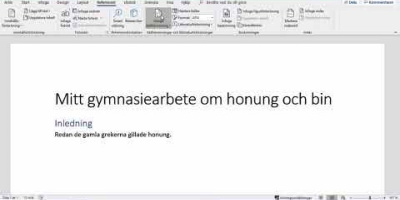 Hur man använder re­fe­rens­han­te­ringen i Word (Windows)