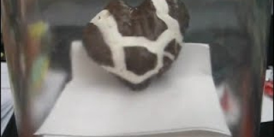 Ett brustet hjärta