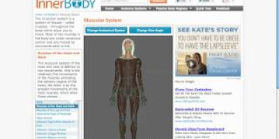 Tips: InnerBody