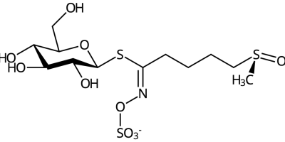 Prov 2015-04-23 i Biomolekyler och Grundläggande biokemi