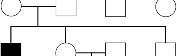 Prov 2024-12-03 om Klassisk genetik och Grundläggande evolutionsteori