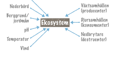 Ekosystem. Abiotiska och biotiska faktorer