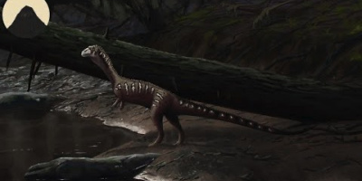 Krokodilernas evolution