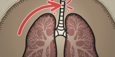 Våra lungor har ett fatalt misstag