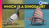 Vad är en dinosaurie och vad är inte en dinosaurie?