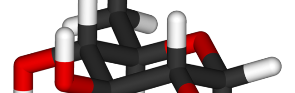Kunskapsmål och nyckelbegrepp: Biomolekyler