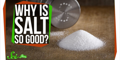 Varför får salt maten att smaka bättre?