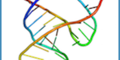 Prov 2005-03-17: Transformation & RNA-molekylens syntes och funktion