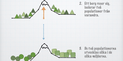 Artbildning och utdöende