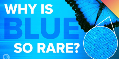 Varför är det så ovanligt med blått i naturen?