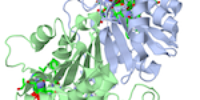 Att använda Jmol och PDB-filer (proteindatabanks-filer)