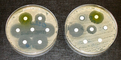 Antibiotikaresistens