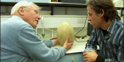 David Attenborough och det gigantiska ägget