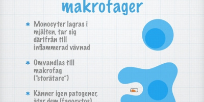 Första och andra försvarsnivån (det icke-specifika immunförsvaret)