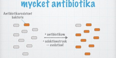 Antibiotikaresistens