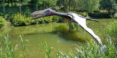 Fåglar är dinosaurier, men det är inte pterosaurier