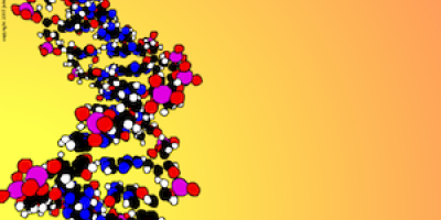 Tips: Cellbiologi-animeringar