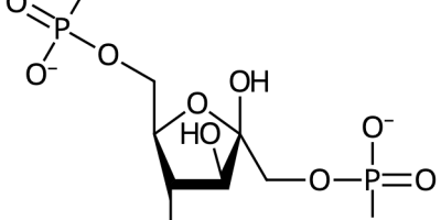 Glykolys
