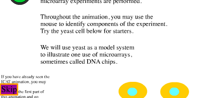 Hur DNA-chip fungerar