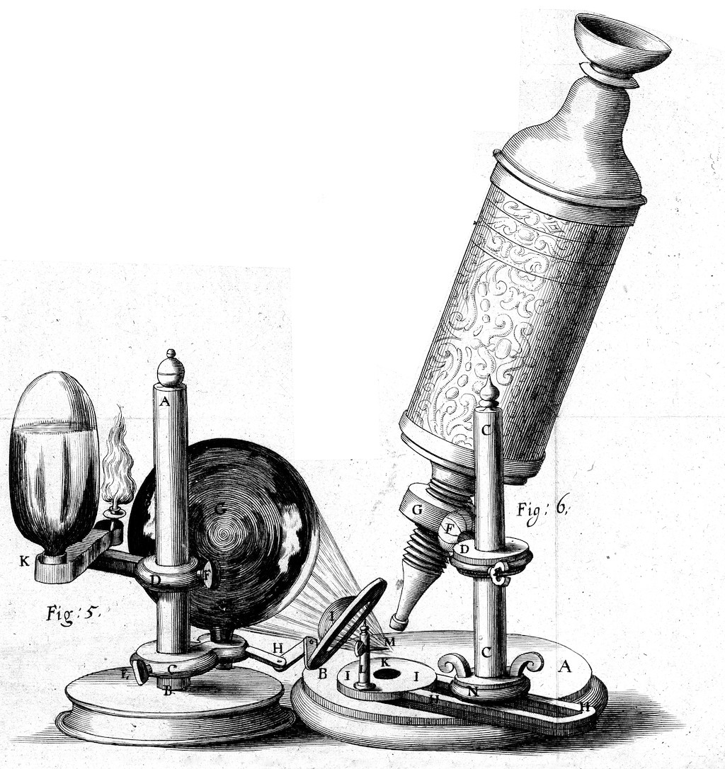 cellbiologi