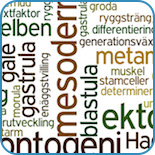 fysiologins grunder