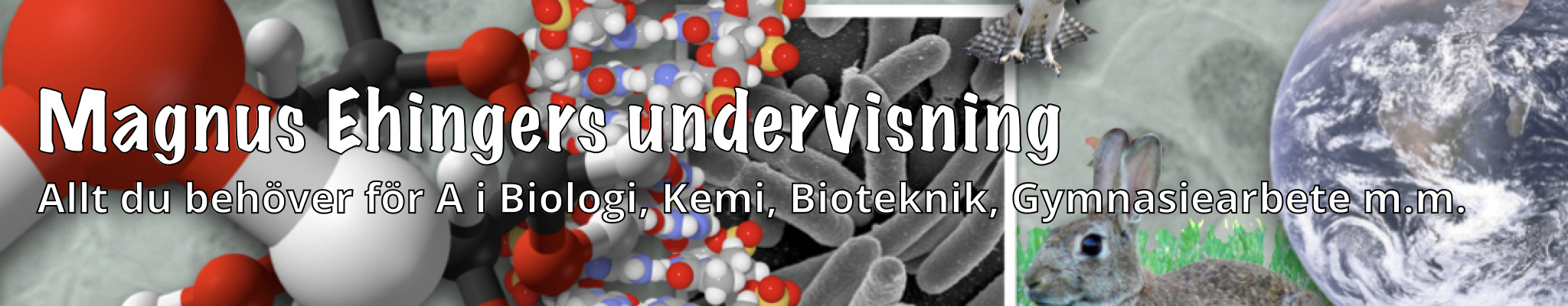 Magnus Ehingers undervisning – Allt du behöver för A i Biologi, Kemi, Bioteknik, Gymnasiearbete m.m.