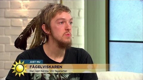 Han kan härma 120 fågelarter!