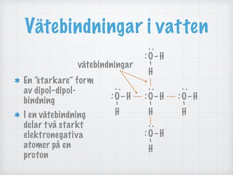 Vätebindningar. Det ovanliga vattnet